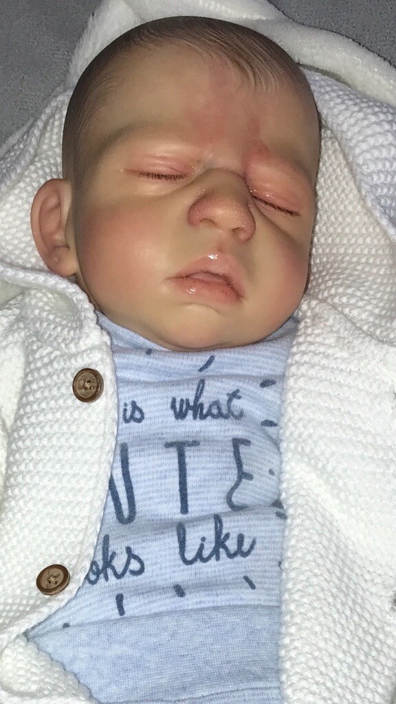 gumtree reborn baby dolls